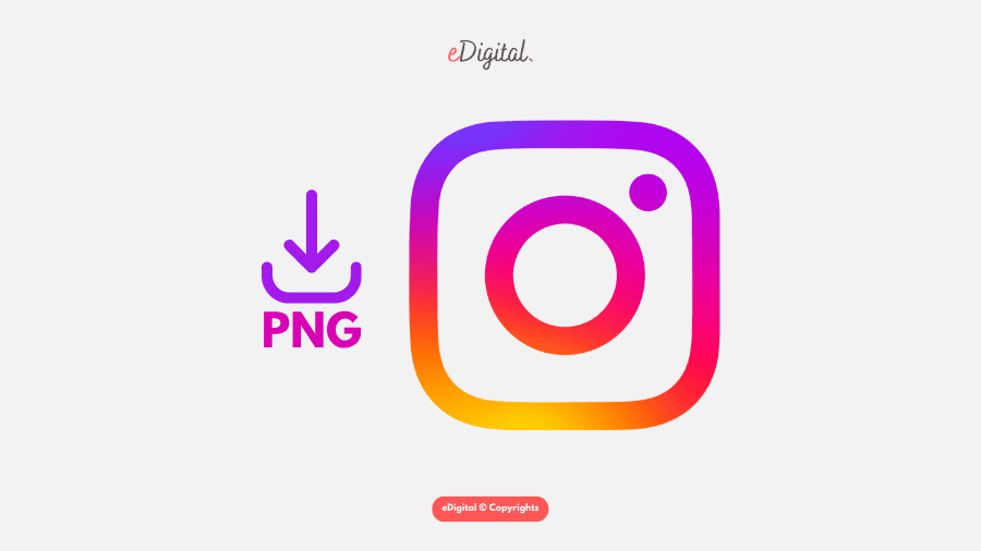 Instagram: The ideal platform to showcase your life and creativity